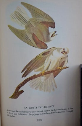 AUBUDON'S BIRDS OF AMERICA